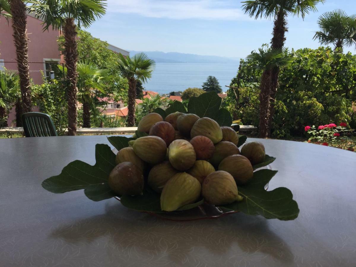 Anicic Apartman Opatija